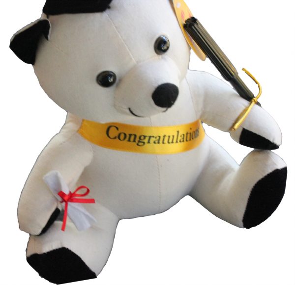 Graduation shop signature bears